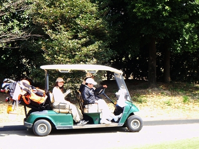 4nincart.jpg
