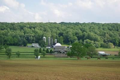 Amish07.JPG
