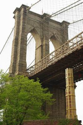 Dumbo21.JPG