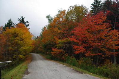 FallFoliage07.JPG