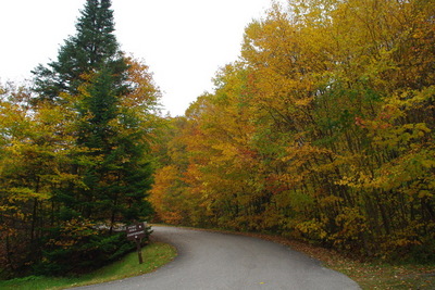 FallFoliage08.JPG