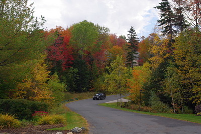 FallFoliage12.JPG