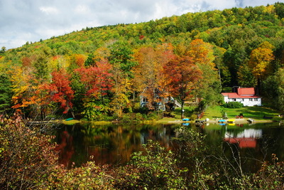 FallFoliage14.JPG