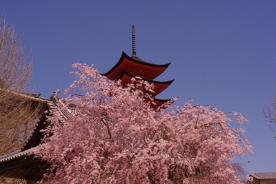 miyajima05.JPG