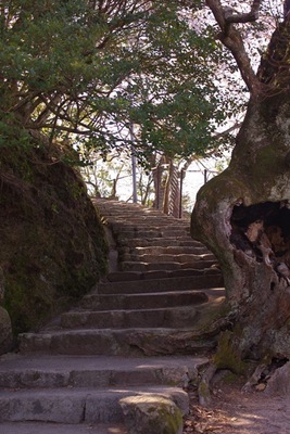miyajima11.JPG