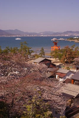 miyajima16.JPG
