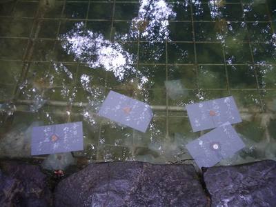 pond.jpg